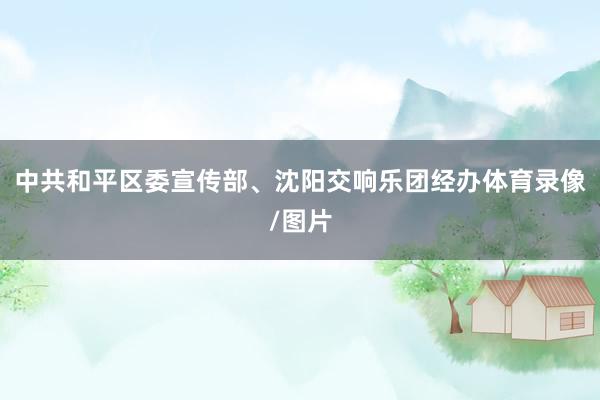 中共和平区委宣传部、沈阳交响乐团经办体育录像/图片