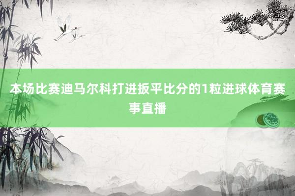本场比赛迪马尔科打进扳平比分的1粒进球体育赛事直播