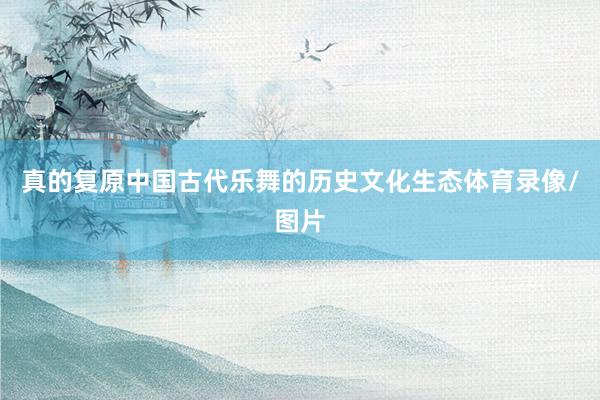 真的复原中国古代乐舞的历史文化生态体育录像/图片